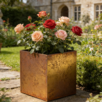 Jardinière carrée moderne en acier corten robuste pour jardinage extérieur, plantes, fleurs, herbes et légumes