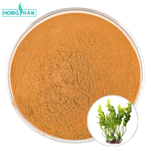 Bán buôn tự nhiên chiết xuất từ tảo <span class=keywords><strong>fucoxanthin</strong></span> bột 20% <span class=keywords><strong>fucoxanthin</strong></span> CAS3351-86-8 - Product Image 1