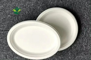Özelleştirilmiş hizmet mevcut 100% Compostable 10 inç <span class=keywords><strong>Oval</strong></span> çanak tabaklar şeker kamışı Bagasse yapılır