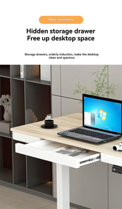 Muebles de Oficina Modernos con Altura Ajustable, <span class=keywords><strong>Escritorio</strong></span> Eléctrico Económico, Elevador de <span class=keywords><strong>Escritorio</strong></span> para Computadora, Juegos, Dormitorio, Uso en Metal - Product Image 6