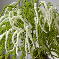 Bunga Willow Catkins Buatan dari Plastik & Silikon Lembut, Dekorasi Pernikahan, Rangkaian Bunga untuk Rumah