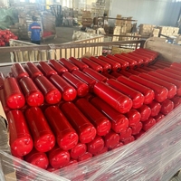 Bouteille d'extincteur vide en gros, cylindre rechargeable en acier, capacité de 1 kg à 100 kg, fourniture d'usine OEM ODM