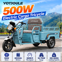 Tricycle électrique de fret 500W, tricycle électrique à trois roues pour adultes, véhicule utilitaire agricole, tricycle de livraison à plateau ouvert