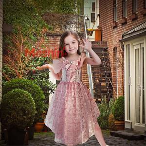 Nouvelle arrivée MS, costume pour enfants, fête de carnaval, cadeau d'anniversaire, jolie robe de princesse rose pour fille - Product Image 1