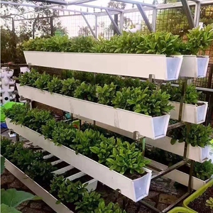 <span class=keywords><strong>Gouttière</strong></span> de plateau de culture en <span class=keywords><strong>PVC</strong></span> <span class=keywords><strong>pour</strong></span> systèmes de culture de fraises hydroponiques en intérieur - Product Image 4