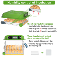 Incubateur d'œufs intelligent entièrement automatique avec un taux d'éclosion élevé pour usage agricole 220V