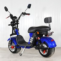 Export to Brazil Electric Cruiser Motorcycle with 2000W Fat Tire Lithium Battery Hot Selling E-Motorcycle Moto Electrique