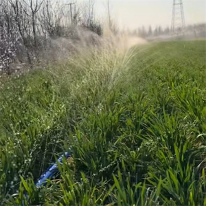 Tubo Flessibile <span class=keywords><strong>per</strong></span> <span class=keywords><strong>Irrigazione</strong></span> a Microspray in Plastica di Facile Installazione <span class=keywords><strong>per</strong></span> Orti e Frutteti a Risparmio Idrico - Product Image 3