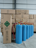 Fabricant d'extincteurs à poudre sèche ABC portables de type SABS bleu rouge d'Afrique du Sud, usine OEM