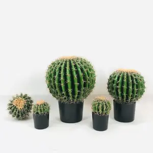 High Quality cactus potted succulents The best-selling artificial succulent potted plant