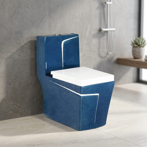 Série Décorative – WC monobloc en céramique indienne allongé avec chasse d'eau et siège bidet intégré - Product Image 5