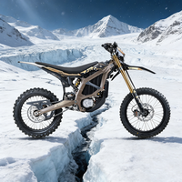 Werbeaktion: 24,5 kW Spitzenleistung, 95 km/h Höchstgeschwindigkeit, Allterrain-Trail Surron Ultra Bee