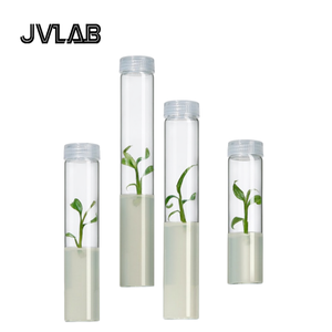 Borosilikatglas-Gewebekulturröhrchen mit Atmungsaktivem Ventildeckel, Sterilisierbar, Hochtemperaturbeständig, Zellkulturröhrchen - Product Image 2