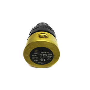 Nuevo Controlador PLC Original R06-221-RNKA-8-E 0-100PSI para Automatización Industrial, Marca PLC - Product Image 1