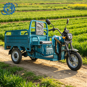 Tricycle électrique à trois roues, boîte de chargement ouverte, directement de l'usine, pour la livraison de marchandises agricoles - Product Image 4