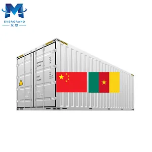 10 años Consolidación de carga Contenedor Envío China a Douala Camerún Agente puerta a puerta