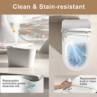 Toilette électrique sans réservoir à nettoyage multiple Toilette électrique à chasse d'eau automatique en céramique Toilette intelligente intelligente avec bidet