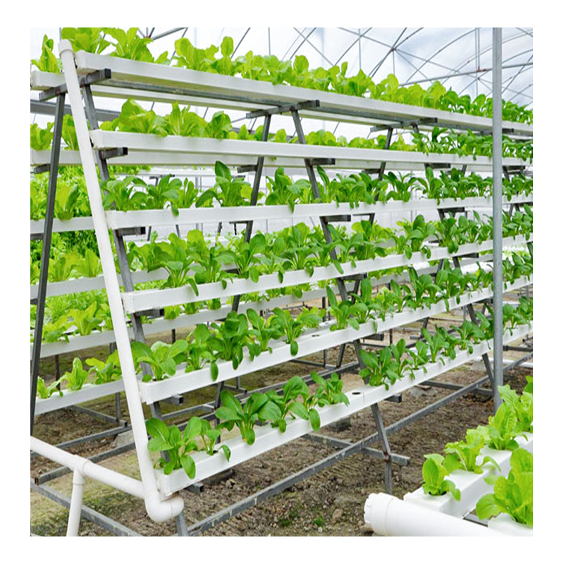 Modern Vertical Farming NFT DWC Hydroponics