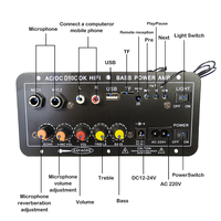 D10C 30W Şarj Edilebilir HiFi Amplifikatör Kartı, Ev KTV'si için Karaoke Mikrofonlu USB TF Uzaktan Kumandalı