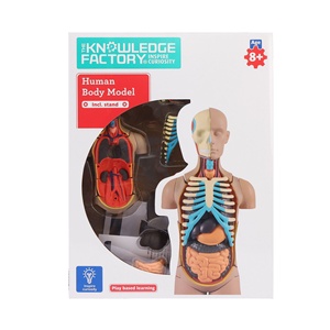 Modèle d'anatomie médicale 3D pour enfants, squelette humain assemblable et amovible, ensemble complet d'organes squelettiques du corps - Product Image 6