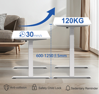 2AF3 D3 30 mm/s Table de bureau debout électrique moderne Table d'ordinateur debout à hauteur réglable pour mobilier de bureau