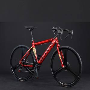 OEM bicicleta de carretera profesional 700C bicicleta con freno de disco R10 RS 21 velocidad horquilla de acero venta a precio barato - Product Image 4