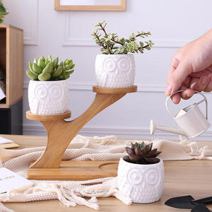Pot de <span class=keywords><strong>fleurs</strong></span> créatif de qualité supérieure en céramique décorative, avec cadre écologique classique en forme de hibou et emballage combiné en boîte avec insert. - Product Image 4
