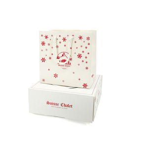 Bolsas de Papel Impresas Personalizadas con Logotipo para Tiendas Minoristas, Boutiques de Ropa y Soluciones de Empaque para Regalos - Product Image 5