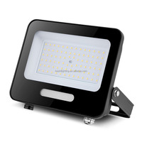 Projecteur LED Slim 100W, 120lm/w, AC100~277V, lumière blanche froide, étanche, pour éclairage paysager et sécurité