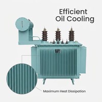 Régulateur de puissance immergé dans l'huile certifié CE 250KVA 380V Stabilisateur de tension triphasé