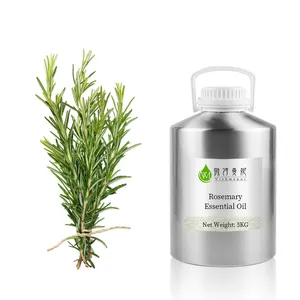 Different Sizes 100% Cold Pressed Rosmarinus officinalis Rosemary Essential oil For Shrink pores pain relief