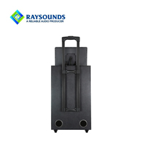 Altavoz Portátil con Pantalla Grande RAYSOUNDS, Máquina de Karaoke con Gabinete de Madera y Super Bajos para Eventos y Fiestas al Aire Libre