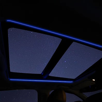 Lumière de toit LED 11 couleurs pour BMW Série 3/5 G20 G30 G01 G05 X3 X4 X5 X6 X7, éclairage d'ambiance panoramique pour toit de voiture, rénovation
