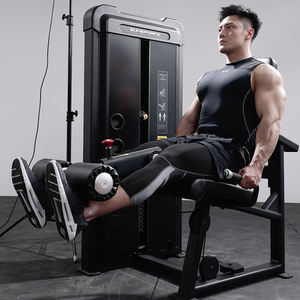 Appareils de musculation pour la gym : Ensembles d'équipements de fitness avec vérin hydraulique pour abdominaux et extensions dorsales en alliage d'aluminium double - Product Image 5