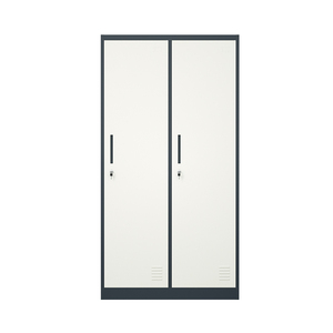 Hiện Đại Kim Loại Bền Tủ Quần Áo Đồ Nội Thất Phòng Ngủ Đa-Màu 2 Cửa Thép <span class=keywords><strong>Locker</strong></span> Với Quần Áo Treo Lưu Trữ <span class=keywords><strong>Locker</strong></span> Cho Nhà - Product Image 1