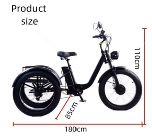 Tricycle puissant à 3 roues avec pneus larges pour adultes, deux places, 750 W, pour la montagne, la neige, la famille, vélo à trois roues pour homme - Product Image 2