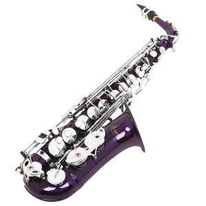 SLADEアルトサックスEbキー真鍮ボディカービングホワイトシェルキーパープルシルバースプリングケース付きOEM - Product Image 4