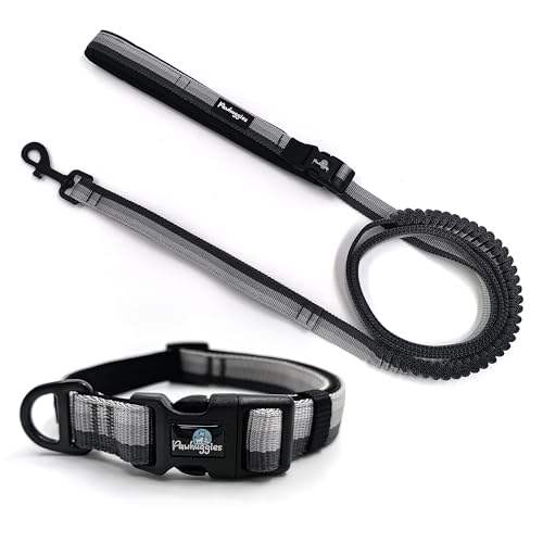 ชุดสายจูงคอสีเทา