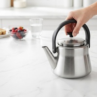 Bouilloire à eau moderne en acier inoxydable avec poignée en bakélite, couvercle en acier inoxydable, compatible induction, design élégant