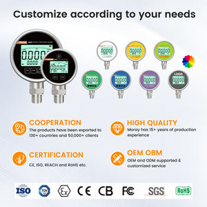 Manómetro Moray ME462P OBM ODM con Pantalla LCD de 5 Dígitos <span class=keywords><strong>para</strong></span> Presión de Agua, Manómetro Digital de Refrigeración, Medidor de Presión de Aceite - Product Image 6