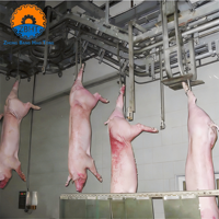 Projet clé en main d'abattoir porcin automatique, équipement de traitement de la viande, machinerie clé en main à grande échelle