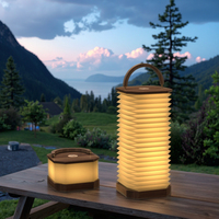 Nouvelle Lampe LED Pliante Tendance 2026, Lampe Verticale Accordion, Lumière Blanche Chaude pour Lecture, Chambre et Bureau, Alimentation par Batterie, Offre Spéciale