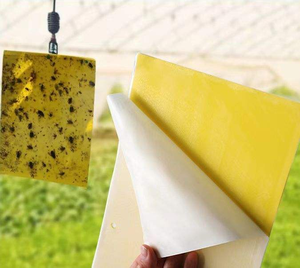 Trappole Adesive Gialle Personalizzate Efficaci Contro le Mosche dei Funghi per la Protezione delle Piante in Serra - Product Image 3