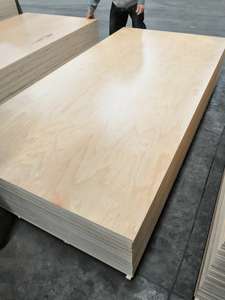 Contrachapado de Abedul de <span class=keywords><strong>Alta</strong></span> Calidad de 12 mm y 18 mm, <span class=keywords><strong>Madera</strong></span> Contrachapada de Abedul para Muebles - Product Image 6