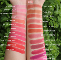Cosmétique Poudre Pressée Fard À Joues Maquillage No Logo Blush DIY High Pigment Organic Private Label Blush Palette