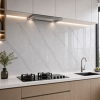 Panneau mural en marbre UV WYRAX 1220x2440mm 3.5mm Gris clair Carrara Haute brillance Imperméable pour salle d'exposition