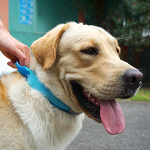 2025 personnalisé chien extérieur tactique collier d'entraînement multicolore <span class=keywords><strong>Camouflage</strong></span> Portable métal accessoire chien laisse chaîne moderne dessin animé - Product Image 4