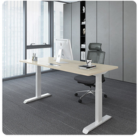 Bureau debout moderne en acier, convertible, extensible, automatique, à double moteur, pour villa, vente en gros directe usine