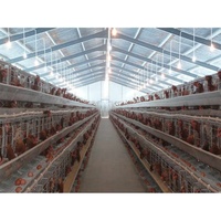Bâtiment de ferme avicole préfabriqué en acier à faible coût, conception de poulailler pour poules pondeuses