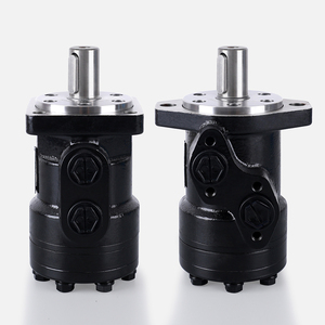 Moteurs hydrauliques à piston orbitaux de remplacement BMR BMT OMPX OMR OMT, modèles BMR50/80/100/125/200/315, bon prix - Product Image 3